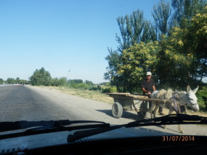 Rychlostní silnice Buchara-Samarkand...