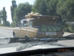 Nejen zahrádka na maximum... Uzbekistán