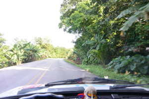 Banány kam se člověk podívá! To je Kostarika na první pohled